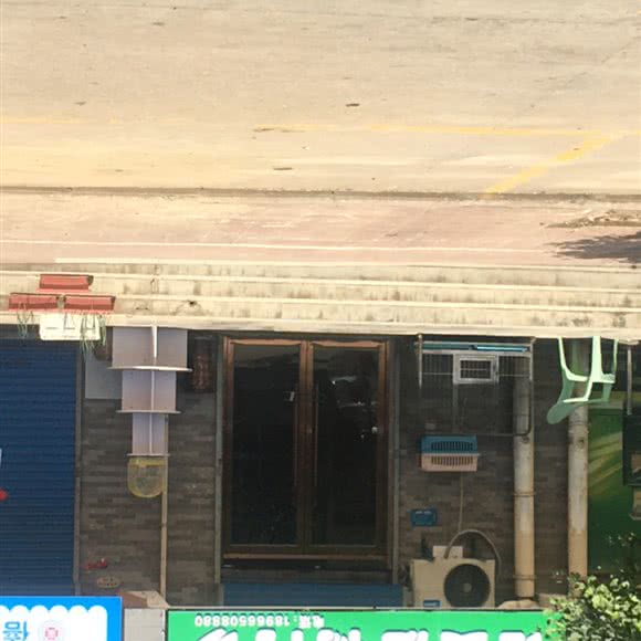 诺爱宠物门诊:宝鸡市渭滨区清姜路沿线附近