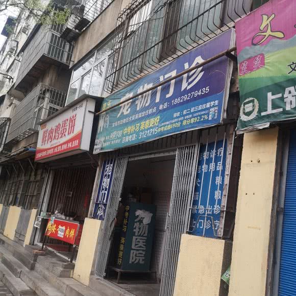 康乐宠物门诊:宝鸡市渭滨区火车站周边附近