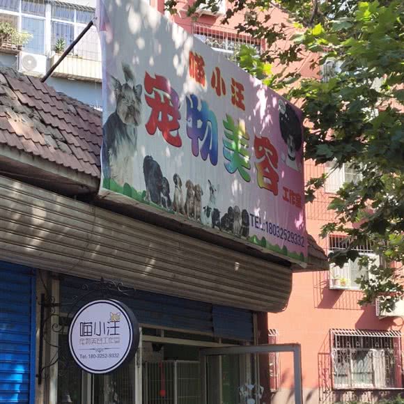 喵小汪宠物美容工作室:唐山市开平区开平区中心城区附近
