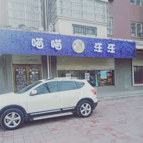 喵喵旺旺:宝鸡市渭滨区姜谭路附近