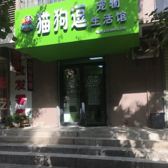 猫狗逗宠物生活馆:宝鸡市渭滨区人民公园附近
