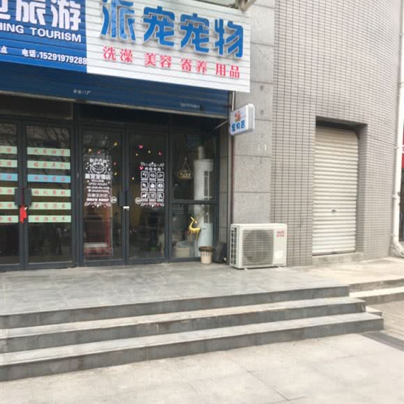 派宠宠物:宝鸡市金台区东风路附近