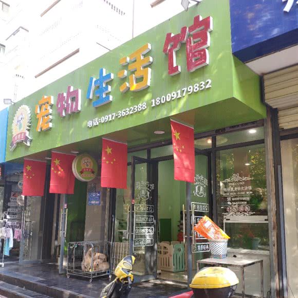 格格屋宠物生活馆:宝鸡市金台区豪城附近