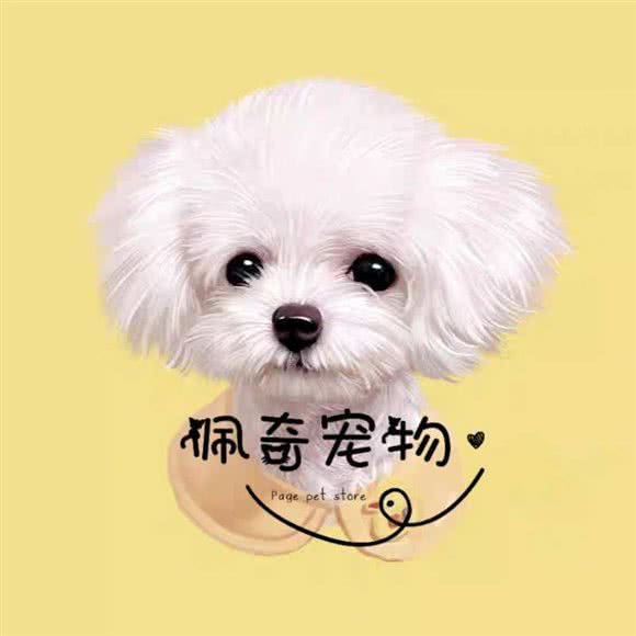 佩奇的宠物店:宝鸡市陈仓区虢镇附近