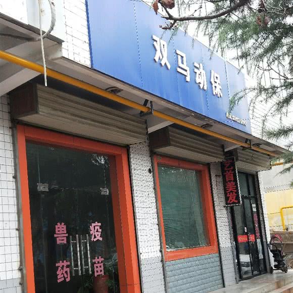 双马动保:宝鸡市陈仓区虢镇附近