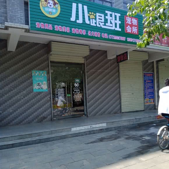 小跟班宠物会所:宝鸡市陈仓区千渭星城附近