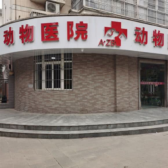 爱之宝动物医院:宝鸡市陈仓区千渭星城附近