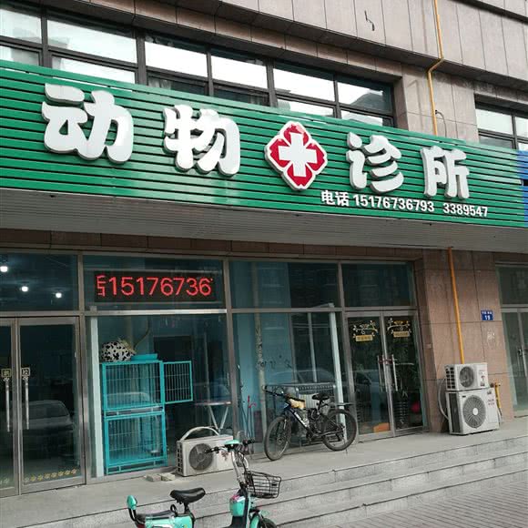 动物诊所:唐山市开平区开平区中心城区附近