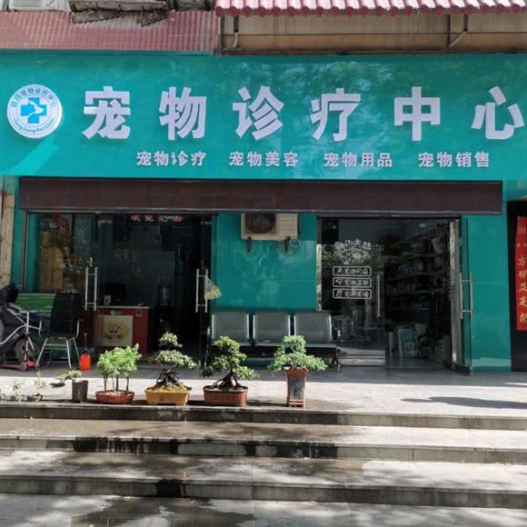 囧囧宠物医院:咸阳市秦都区秦都区中心城区附近