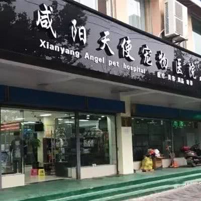 魔鬼宠物医院:咸阳市秦都区汇通十字附近