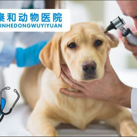 秦和动物医院(珠泉路店):咸阳市秦都区玉泉路附近