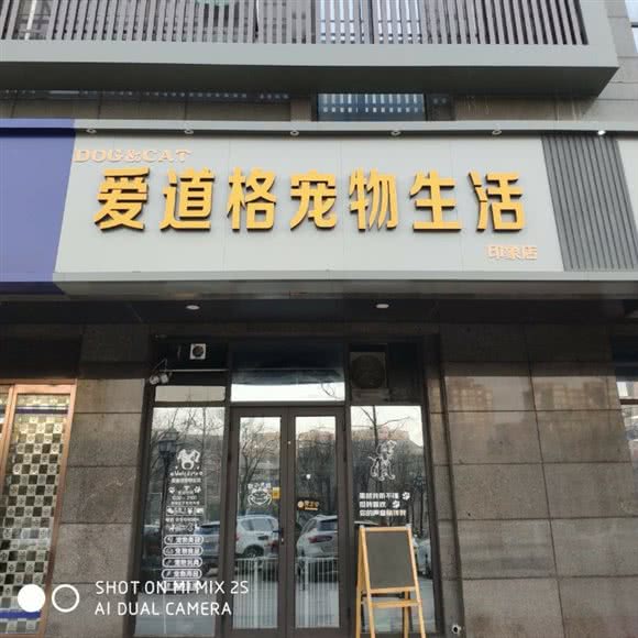 爱道格宠物生活(印象店):咸阳市秦都区世纪大道附近