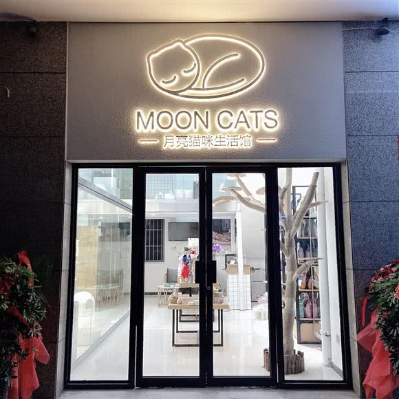 月亮猫咪生活馆:咸阳市秦都区世纪大道附近