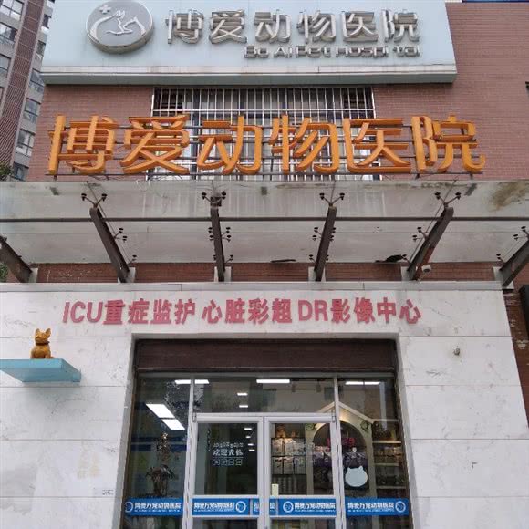 博爱动物医院(先河总院):咸阳市秦都区世纪大道附近