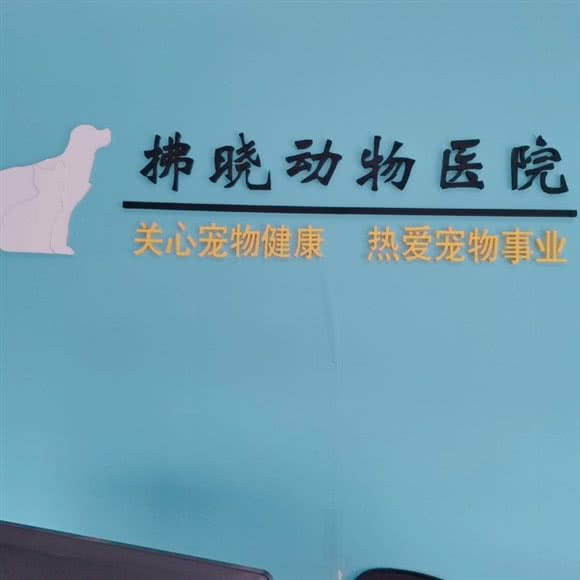 拂晓动物医院:咸阳市秦都区世纪大道附近