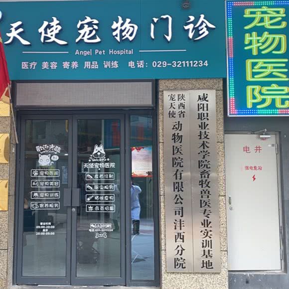天使宠物医院(世纪大道店):咸阳市秦都区世纪大道附近