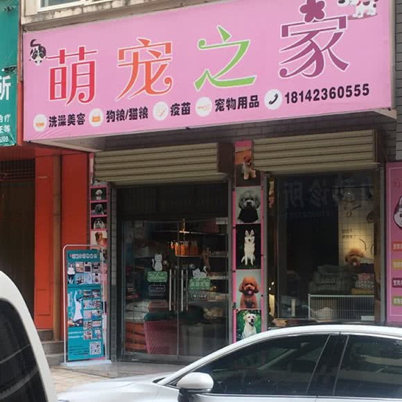 萌宠之十家:咸阳市杨陵区杨陵区附近