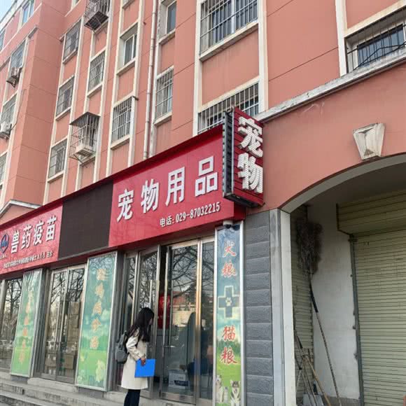 宠物用品:咸阳市杨陵区杨陵区附近