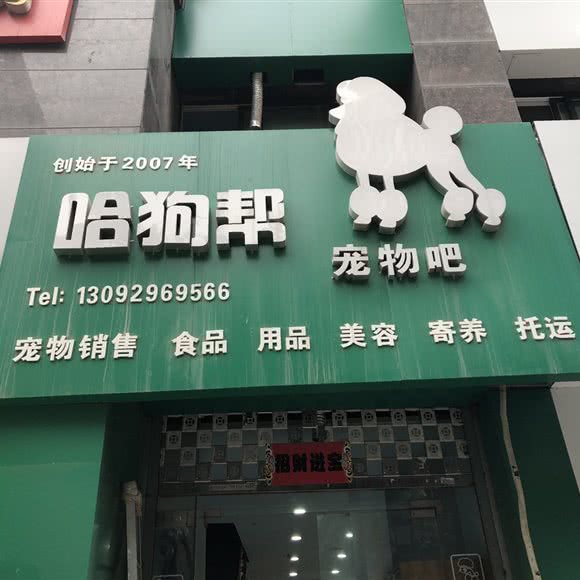 哈狗帮宠物吧:咸阳市渭城区电影院十字附近