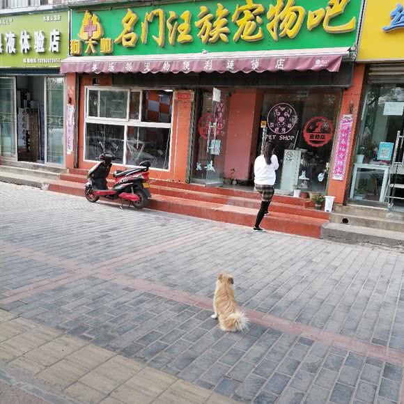 美乐都宠物便利连锁店:咸阳市渭城区火车站附近