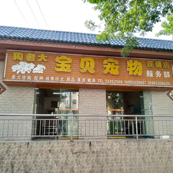 狗老大宝贝宠物医院服务部:咸阳市渭城区火车站附近