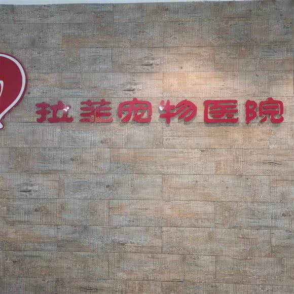 拉菲宠物医院(抗战南路店):咸阳市渭城区火车站附近