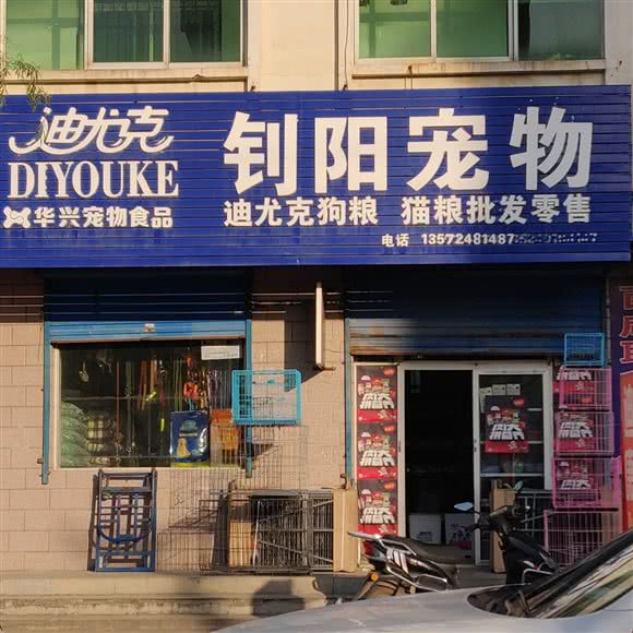 钊阳宠物:咸阳市渭城区文林路附近