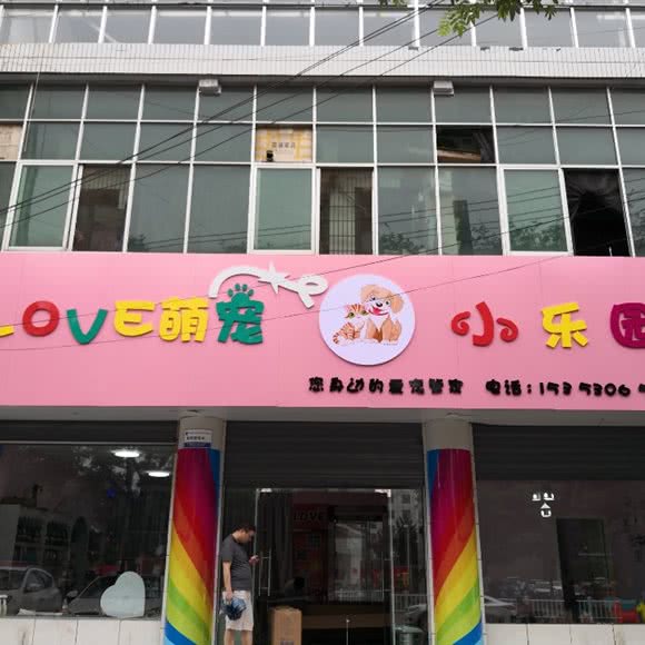 LOVE萌宠小乐园:渭南市临渭区新洲附近