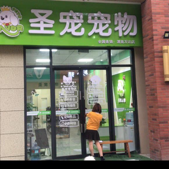 圣宠宠物猫咖(渭南万达店):渭南市临渭区开发区附近