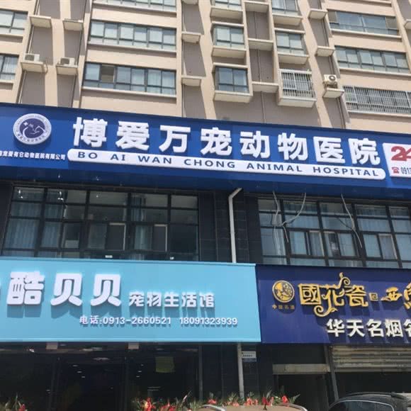 博爱万宠动物医院:渭南市临渭区乐天大街附近