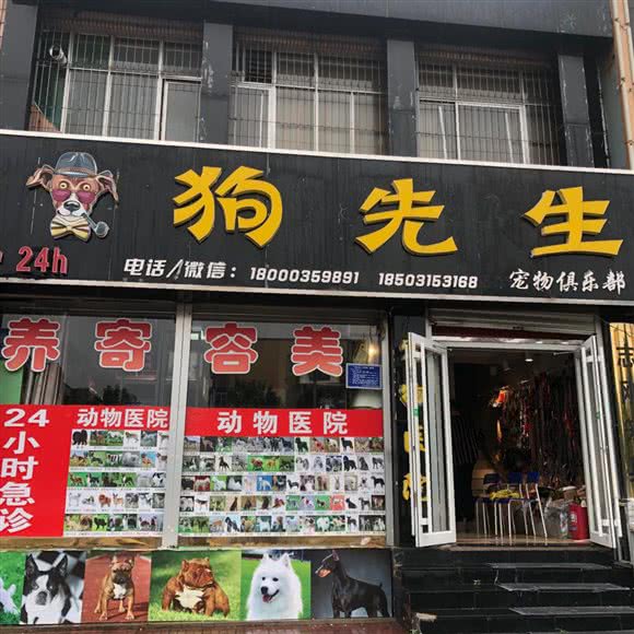 狗先生宠物俱乐部:唐山市丰润区丰润新区附近