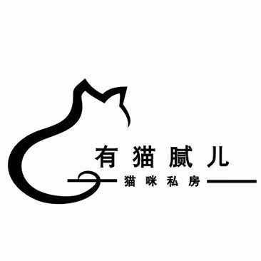 有猫腻儿猫咪私房:渭南市临渭区恒基广场附近