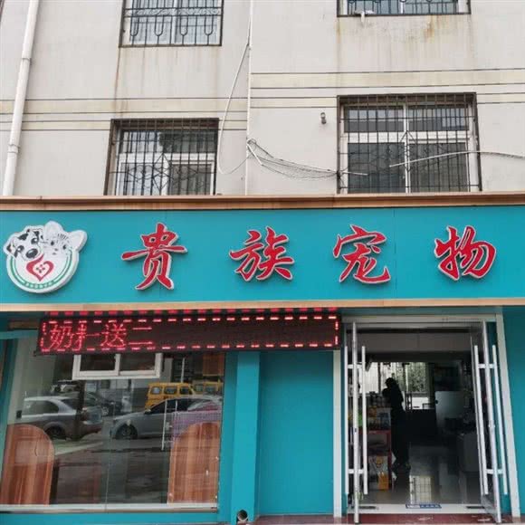 贵族宠物诊所(百米大道店):延安市宝塔区百米大道附近