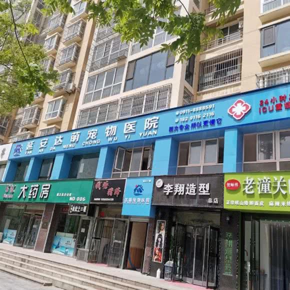 达萌宠物诊所:延安市宝塔区百米大道附近