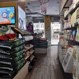 进口宠物生活馆:延安市宝塔区红化附近