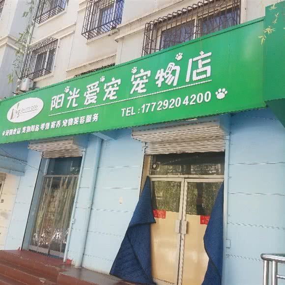 阳光爱宠宠物店:延安市宝塔区市场沟附近