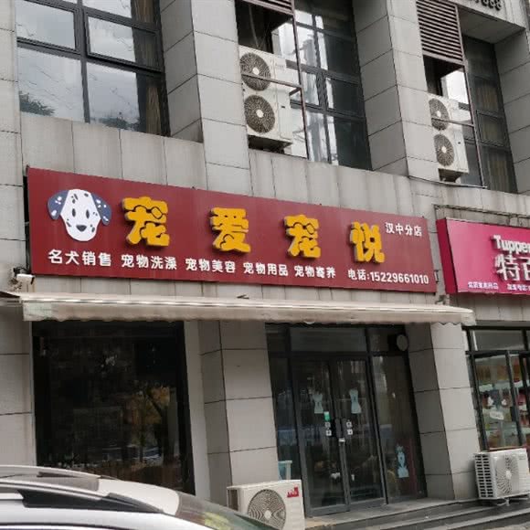 宠爱宠悦:汉中市汉台区滨江路附近