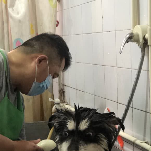 小宠当家宠物生活馆:汉中市汉台区东大街附近