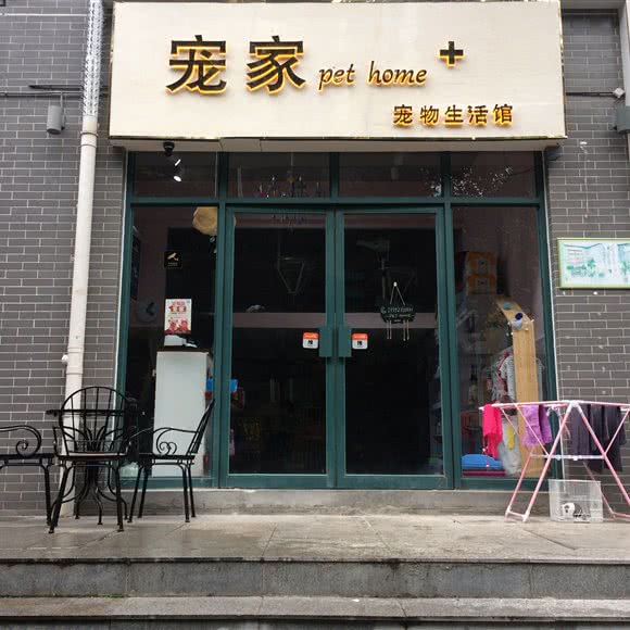 宠家宠物生活会馆:汉中市汉台区东大街附近