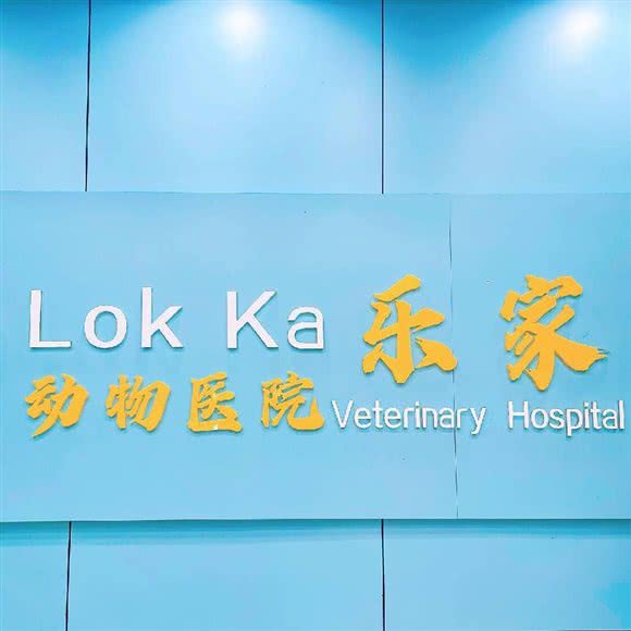 Lokka 乐家动物医院:汉中市汉台区前进路附近