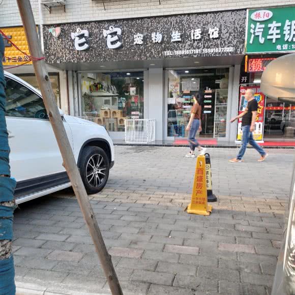 它它宠物生活馆:汉中市汉台区西大街/魅力之城附近