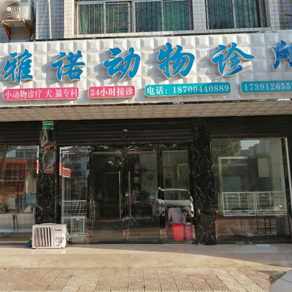 雅诺动物诊所:汉中市汉台区卡斯迪亚附近