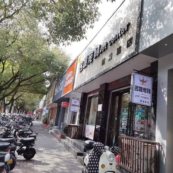 名媛宠物(莲湖路店):汉中市汉台区莲湖路附近