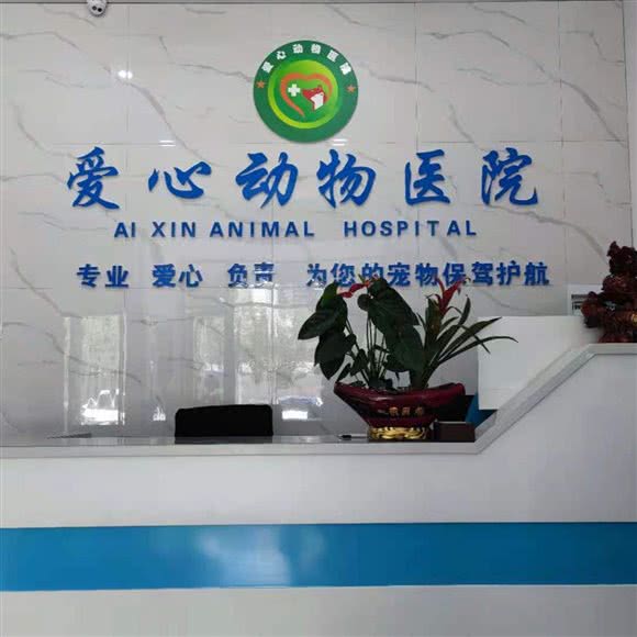 爱心动物医院(龙城店):汉中市汉台区石马坡附近
