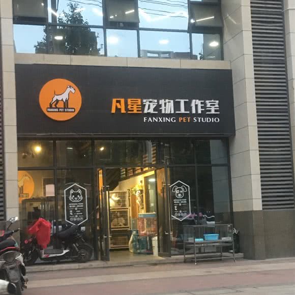 凡星宠物工作室:汉中市汉台区汉水名城附近