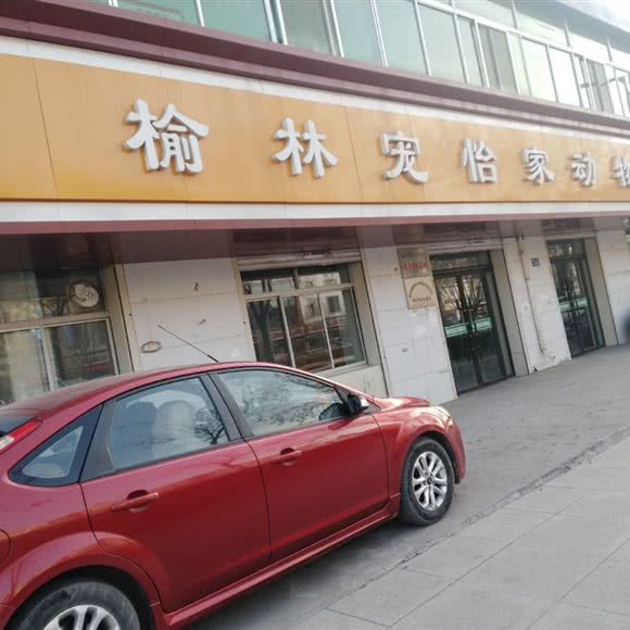 榆林宠怡家动物医院:榆林市榆阳区西沙附近