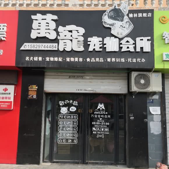万宠宠物会所(榆林旗舰店):榆林市榆阳区沙河口附近