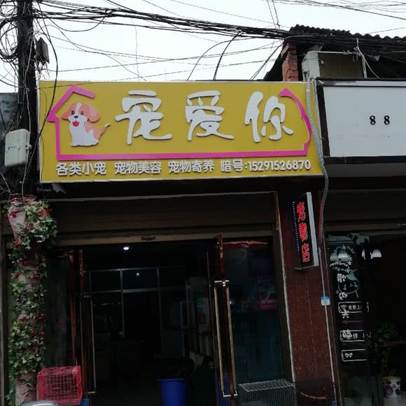 宠爱你的咖啡店:安康市汉滨区巴山路附近