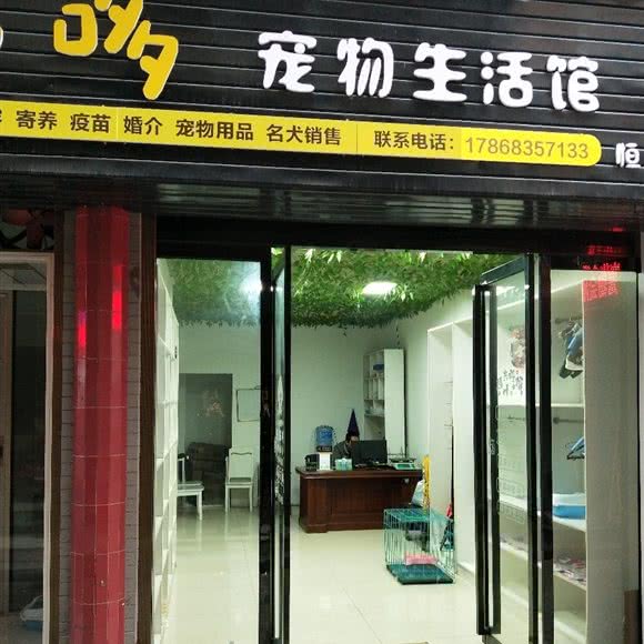 萌哆哆宠物生活馆:安康市汉滨区恒口镇附近