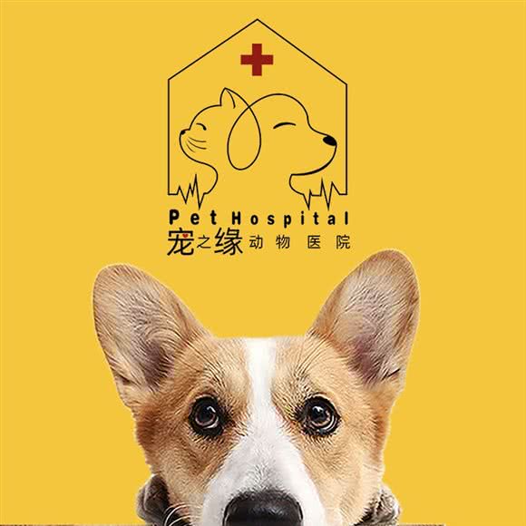 宠之缘动物医院:商洛市商州区莲湖公园附近